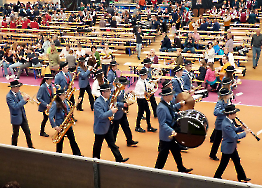 Marschparade Arena Geisingen Teil2